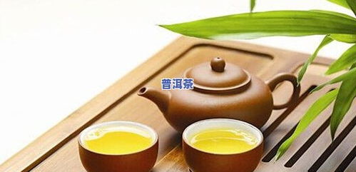 勐胜古茶冰岛初制所 品味冰岛古树的纯正韵味