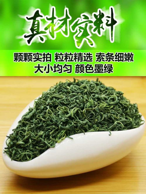 500g信阳毛尖与日照绿茶浓香型 一盆春色，两样茶香