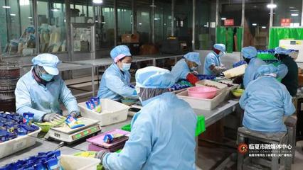 春节将至订单增 临夏市乡村就业工厂奋力冲刺“开门红”